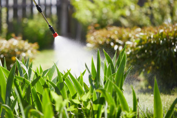 24/7 Emergency Pest Control experts in Vaiden, MS