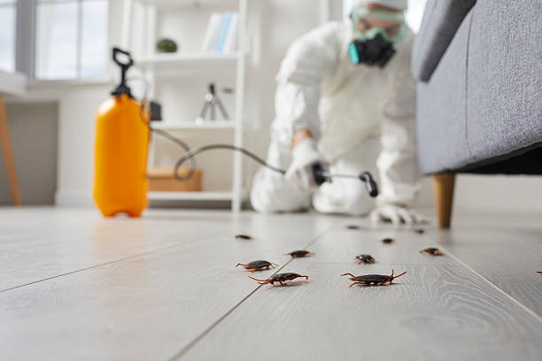 Affordable Pest Control solutions in Vaiden, MS