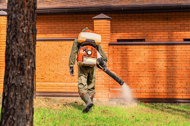 Top rated local Pest Control specialists in Vaiden, MS